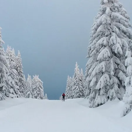 冬季两项运动及spa酒店 酒店