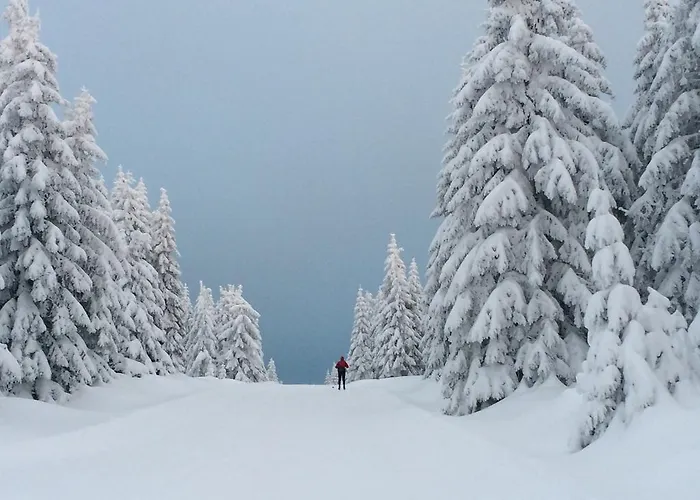 Biathlon Sport & Готель